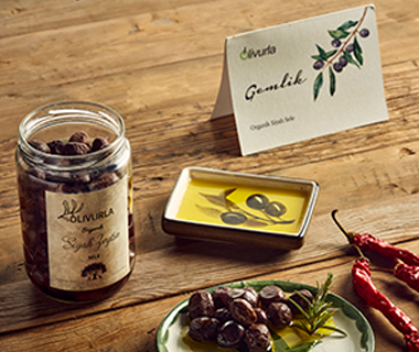 Urla Yarımadası’nın Eşsiz Zeytinleri